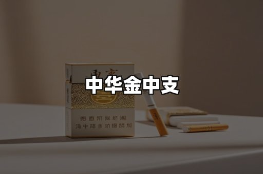 中华金中支